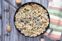 can you use greek yogurt instead of sour cream in beef stroganoff