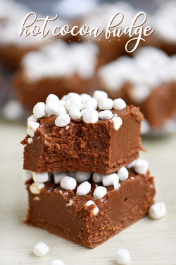 Dessert - Cocoa Powder Fudge Recipe | Chocolate fudge recipe without