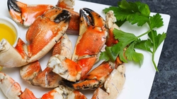Appetizer - How to cook stone crab claws from frozen recipes